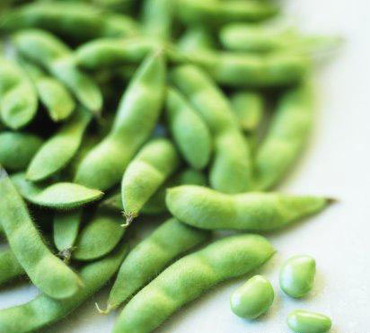 NUTRI I TUOI MUSCOLI ( parte 2 ) - legumiF3 - Gay.it Archivio