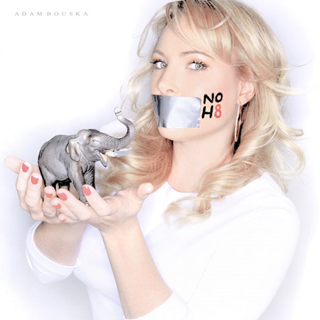Moglie del senatore repubblicano testimonial contro la Prop8 - mccain noh8F2 - Gay.it Archivio
