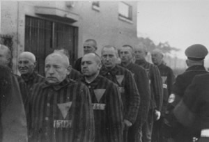 Omocausto: iniziative in tutta Italia per non dimenticare - memoria2011F1 - Gay.it Archivio