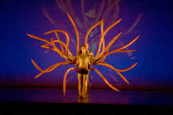 I Momix ballano con la natura al Teatro Olimpico - Gay.it Archivio