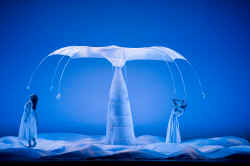 I Momix ballano con la natura al Teatro Olimpico - Gay.it Archivio