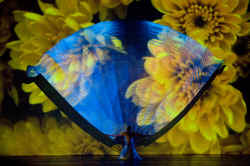 I Momix ballano con la natura al Teatro Olimpico - Gay.it Archivio