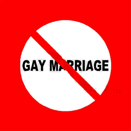 Il Parlamento francese boccia i matrimoni gay - pdl coppiagayF2 - Gay.it Archivio