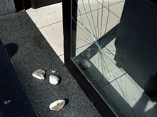 Milano: pietre contro la vetrina del ristobar gay "Love" - pietre loveBASE - Gay.it Archivio