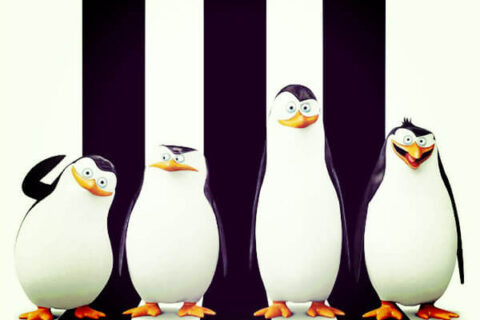 CinemaSTop, vichinghi e pinguini sbarcano in sala - pinguini cinemaSTop BS 1 - Gay.it Archivio