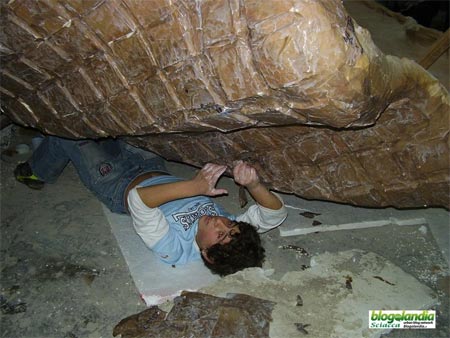 Carnevale di Sciacca, Arcigay: "Non ci saremo" - platicarnevale F2 - Gay.it Archivio