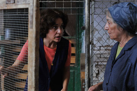 I magnifici otto: i nuovi titoli lgbt di QueerFrame - queer frame nuovoF3 - Gay.it Archivio