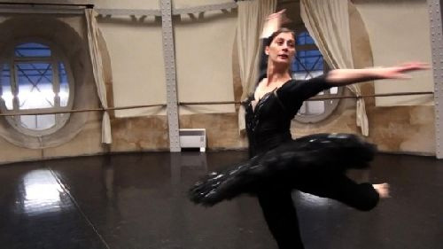 "Amore carne" e "Sal", ultimi "orizzonti" cine-sperimentali - sal veneziaF3 - Gay.it Archivio