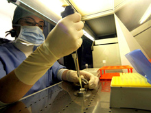 AIDS: Science, scoperti anticorpi promessa per vaccino - staminali aidsBASE 1 - Gay.it Archivio