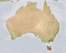 Tasmania: riconosciute d'ufficio coppie sposate all'estero - tasmania coppiaF1 - Gay.it Archivio