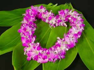 Anche le Hawaii approvano le unioni civili - unioni civili hawaiiF2 - Gay.it Archivio