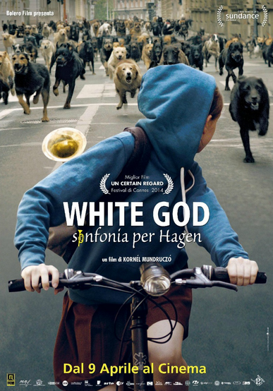 CinemaSTop: da vedere la carica dei 250 cani nel trascinante White God - white god cinemastop - Gay.it Archivio
