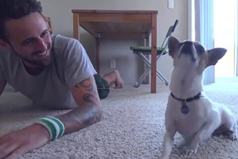 Il miglior compagno di yoga? Padrone e cucciolo si allenano insieme - yoga padrone cagnolino pancino cane BS - Gay.it Archivio